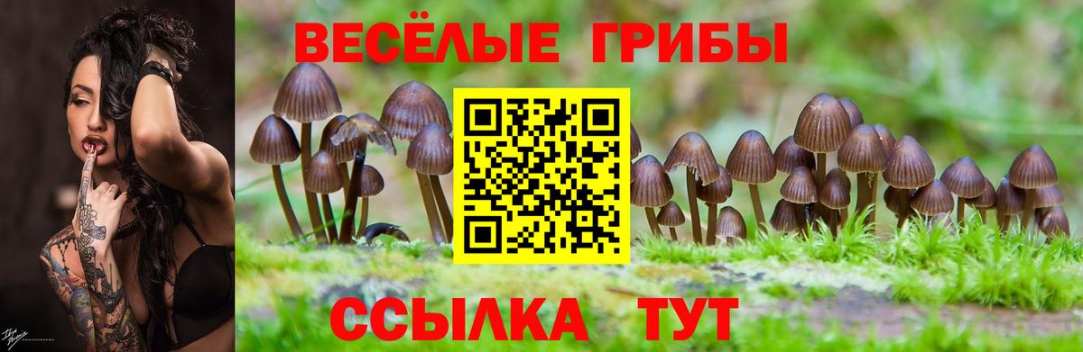 Галлюциногенные грибы Magic Shrooms Воронеж