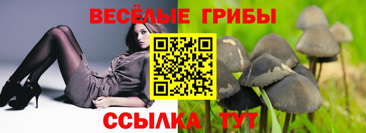 Воронеж  Псилоцибиновые грибы MAGIC MUSHROOMS  Вход с VPN  Псилоцибиновые грибы мицелий 